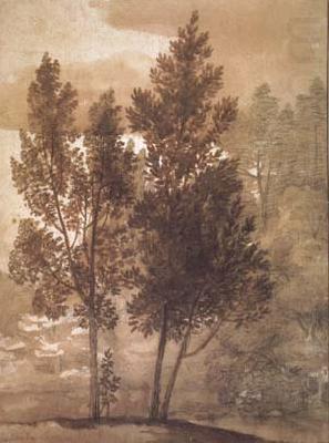 Trees (mk17), Claude Lorrain